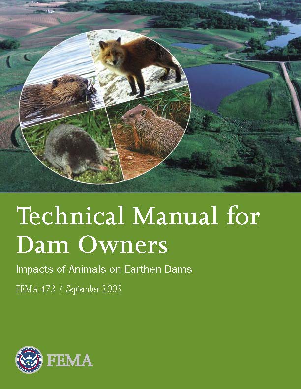 National Dam Safety Program Guidelines, Flyers and Other Tools